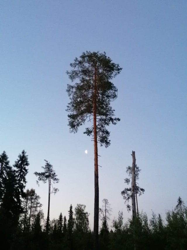 Литболталка