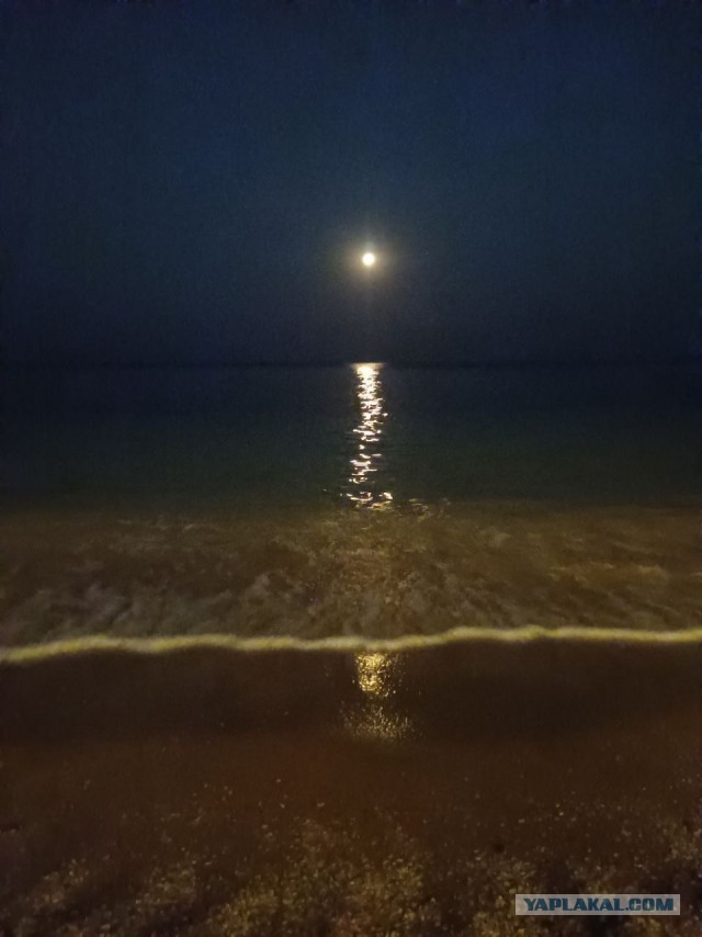 Постите летние фотки