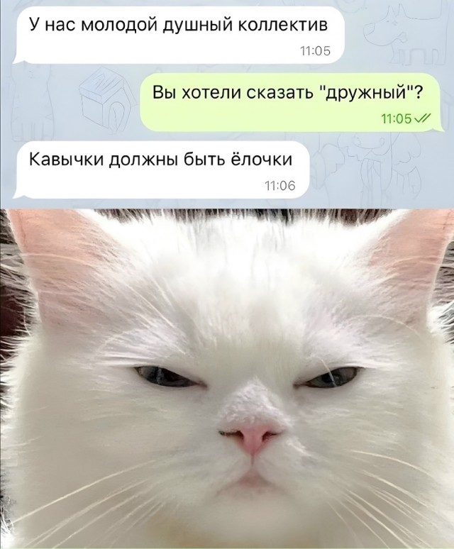 Немного картинок