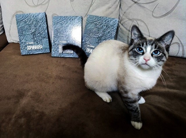 Книга ПОВЕСТИ