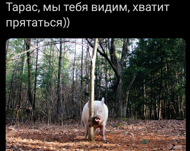 Так себе картинки 21.10.25