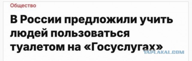 Россиян планируют обучать правильному пользованию туалетом через «Госуслуги»
