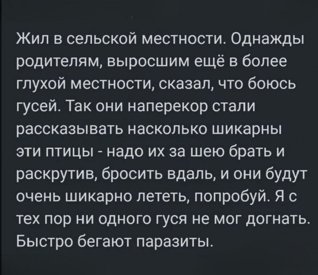 Добрые воспоминания про гусей