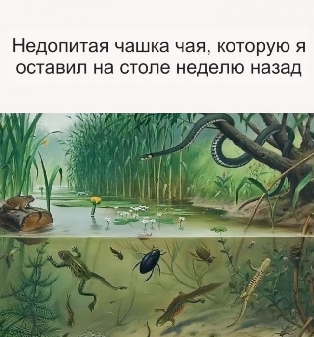 Понедельника картинки