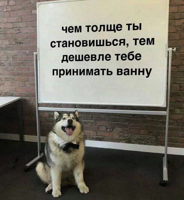 Так себе картинки 02.02.26