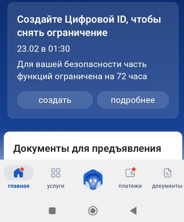 Россияне массово жалуются на блокировки «Госуслуг»
