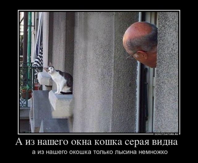 Склад баянов