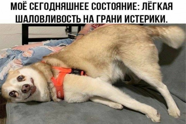 Пятничные картинки