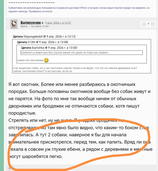 Неизвестный застрелил двух собак-спасателей поискового отряда "ЛизаАлерт" в Псковской области