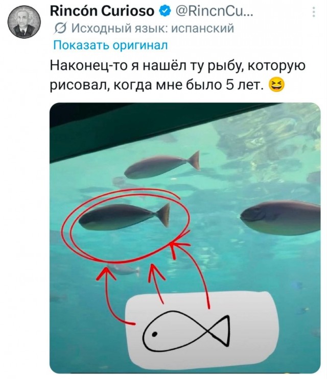 Потная гамсахурдия №4 (Картинки)