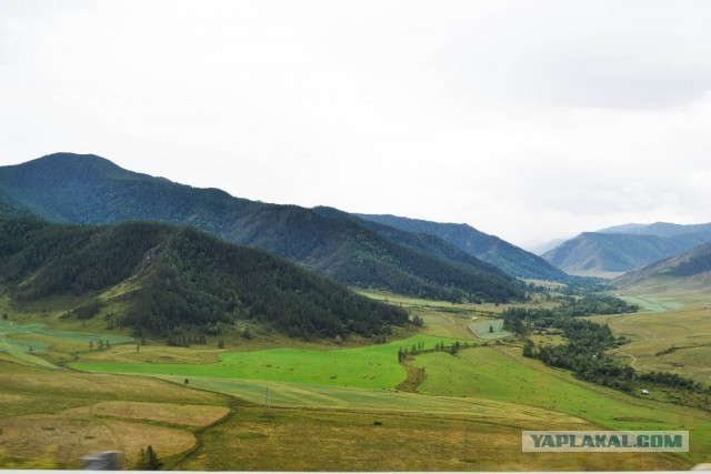 Автопутешествие  "Оренбург - Горный Алтай"
