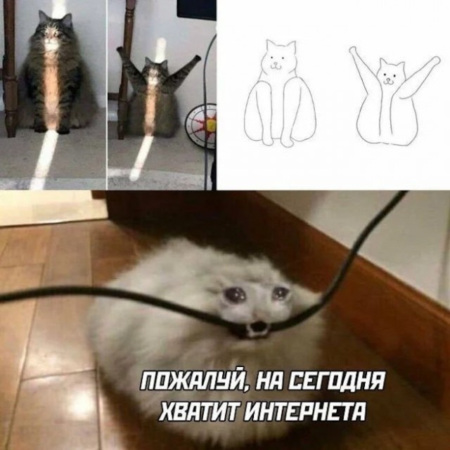 Картиночки, баянчики 12 июня