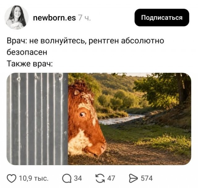 Картинки для деградации 229 (разной степени свежести)