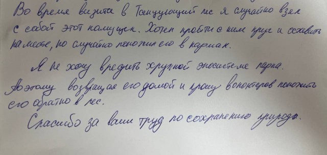 Турист из Пензы случайно увез камень из национального парка «Куршская коса» в Калининградской области, но вернул его по почте