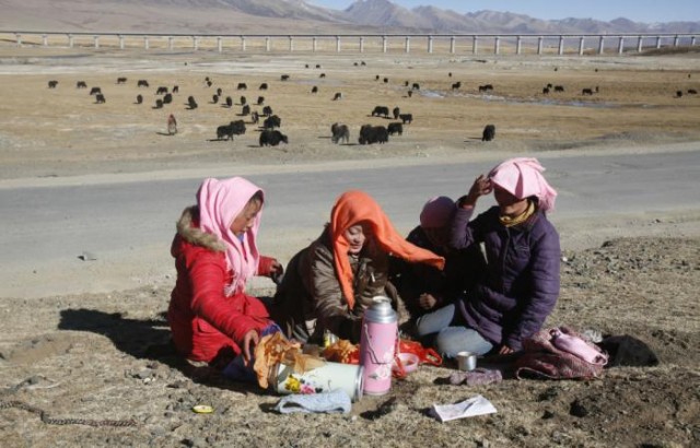 ЖД стройка в Китае (29 фотографий)