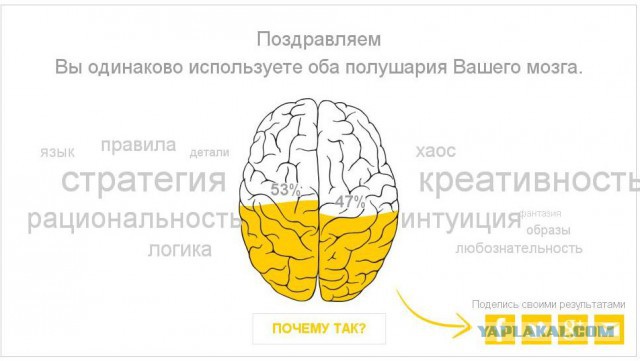 Тест - Левое или Правое.