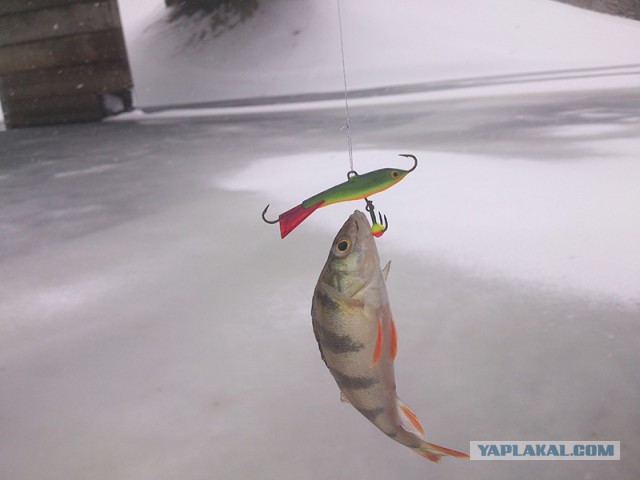 Зимняя рыбалка на Каме
