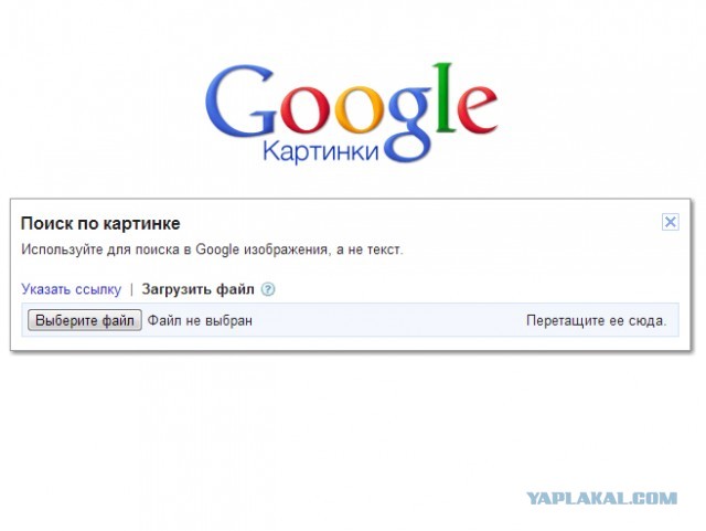 «Google» что-то знает о Сколково