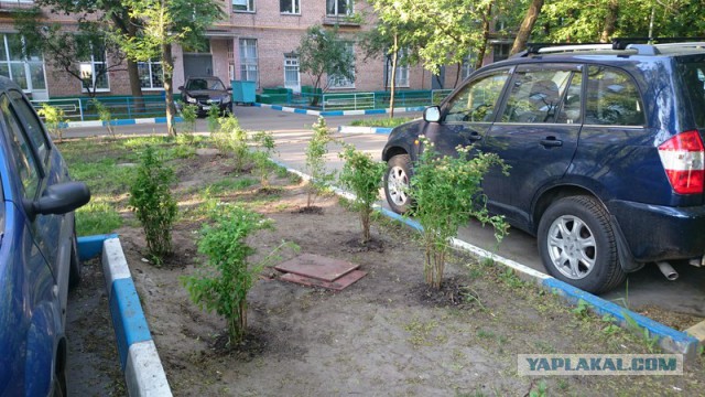 Как бороться, верней как заставлять думать быдло