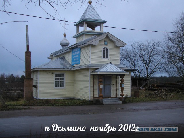 Тамбовский волк тебе товарищ...