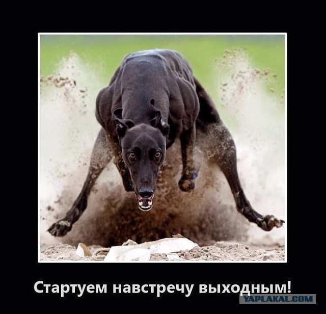 Пятница!
