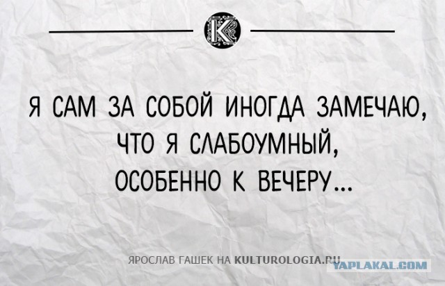 10 жизненных пронизанных сарказмом цитат из романа