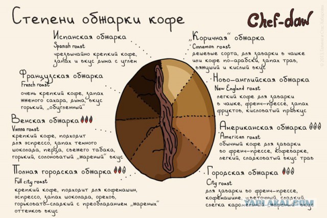 20 шпаргалок, которые пригодятся на кухне