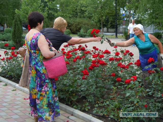Донецк