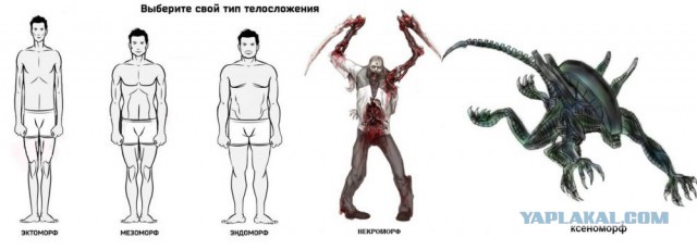 Спортивного юмора пост
