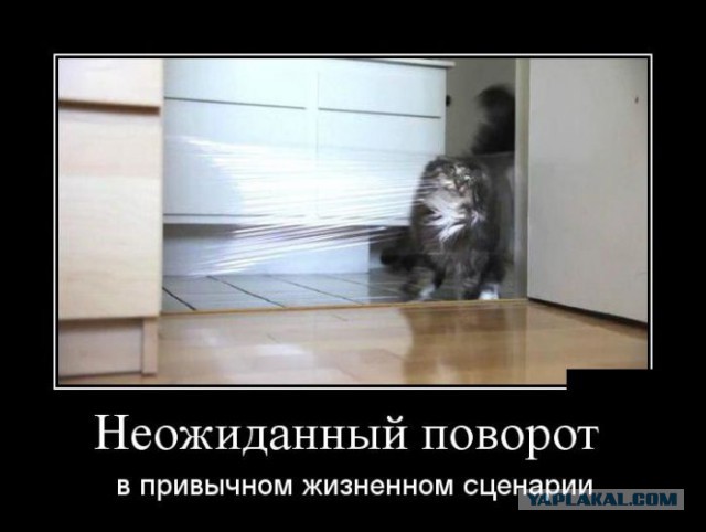 Картинки с просторов на четверг