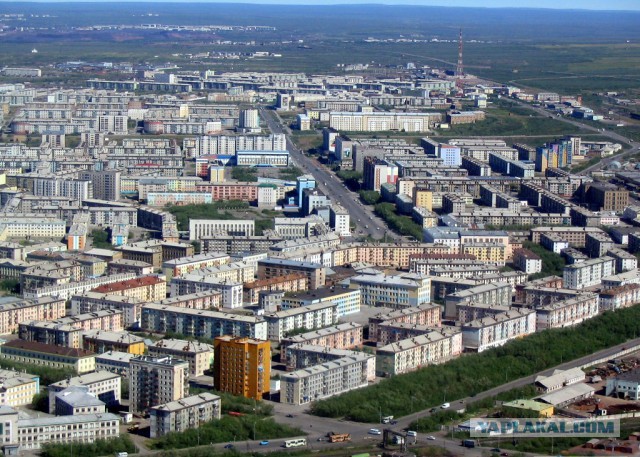 Подборка любопытных фотографий со всего света