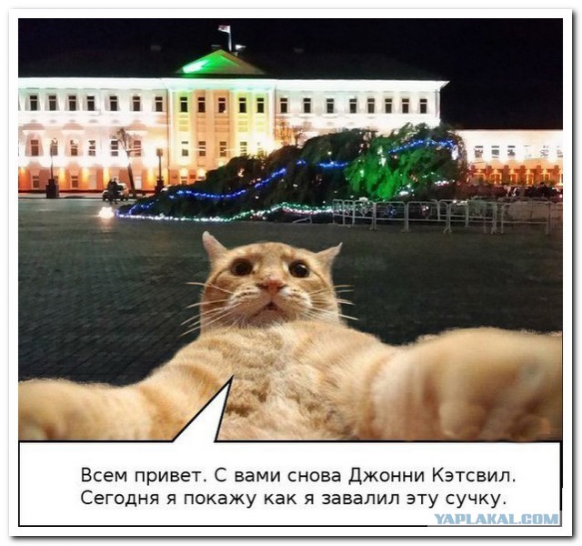 Смешные комментарии из соцсетей