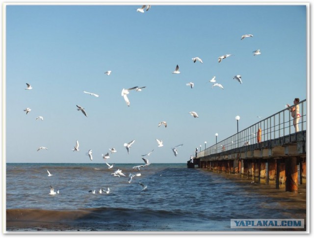 Непутёвые заметки. Поездка на Чёрное море