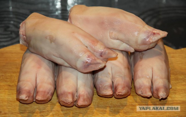 Щенок, потерявший все свои 4 лапы в корейской мясной лавке, обрел новый дом