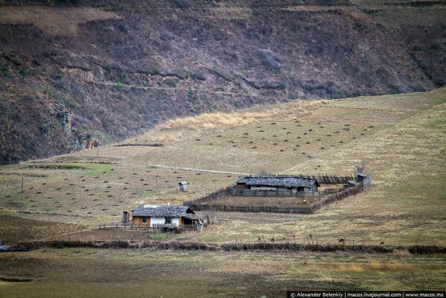 Увидеть Северную Корею и не умереть