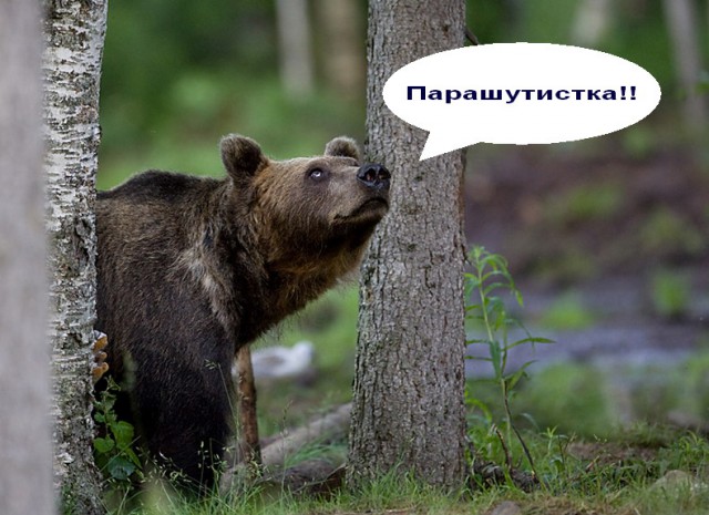 Порнозвезда прыгнула голой с парашютом.Видео