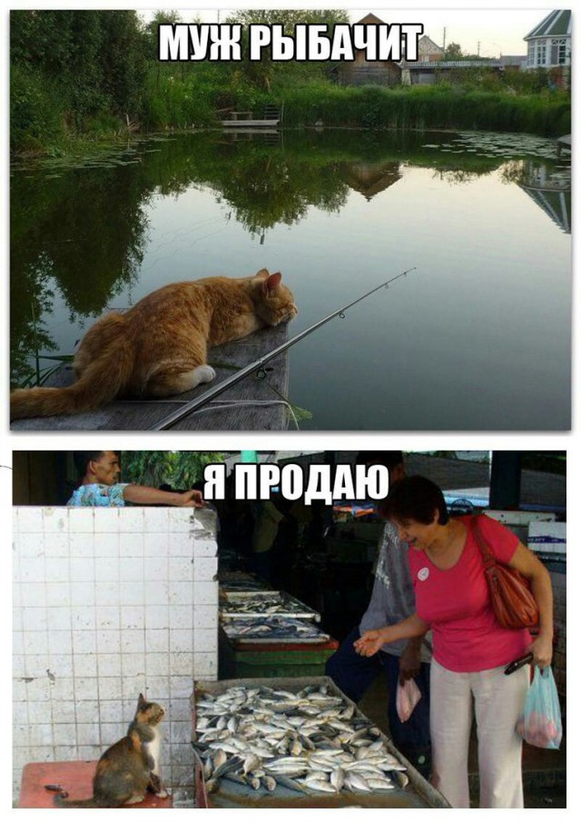 Ужасы и приколы из соцсетей 18+