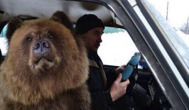 А все остальные страны нам завидуют!