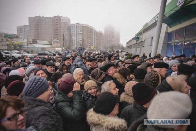 Отстрел собак или они не кусаются