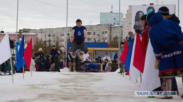 Новый Уренгой-Надым, покатушки  в выходные на День Оленевода