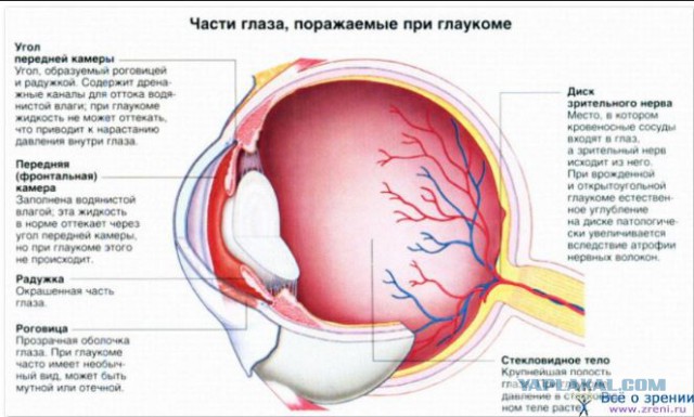 Что ищут офтальмологи при измерении внутриглазного давления?