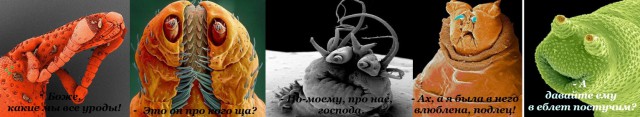 Под микроскопом. Фантастический микромир