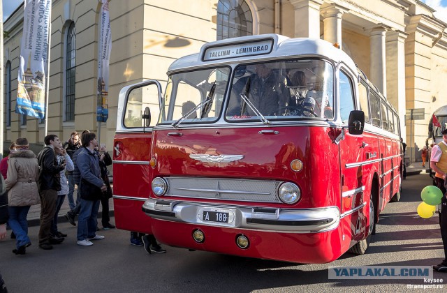 Ikarus 55 Lux "Сигара". Восставший красавчик