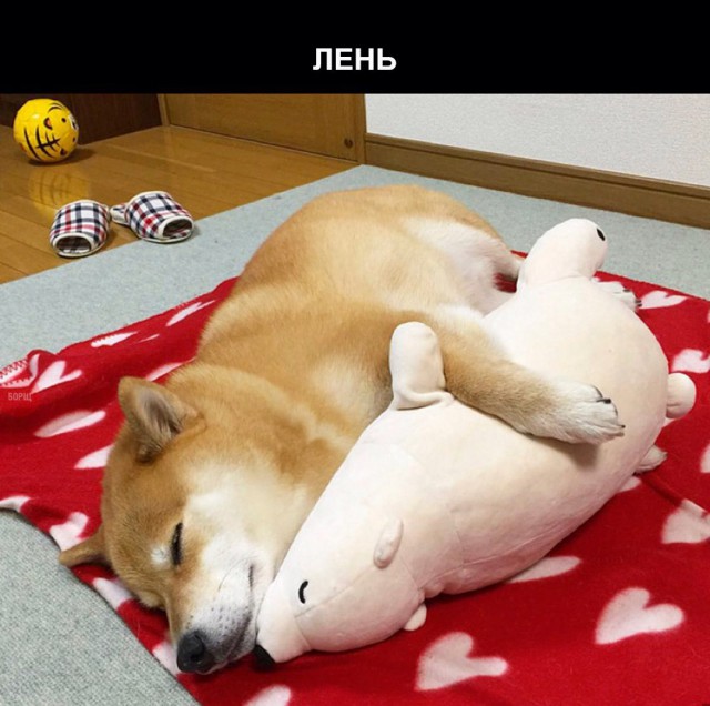 Картинки разные