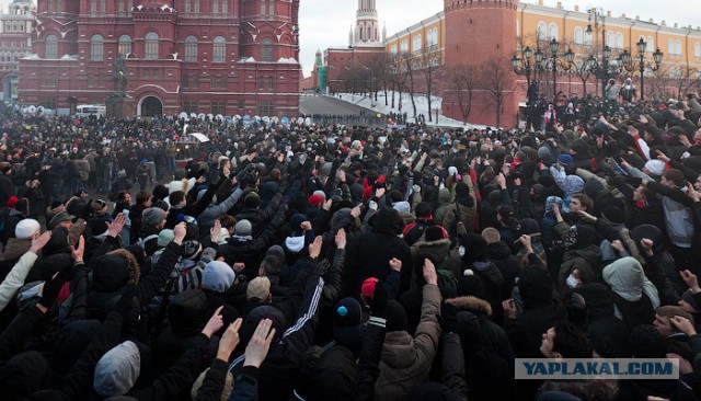 "Разбор полётов", принудительный просмотр немцами фильма о преступлениях нацизма