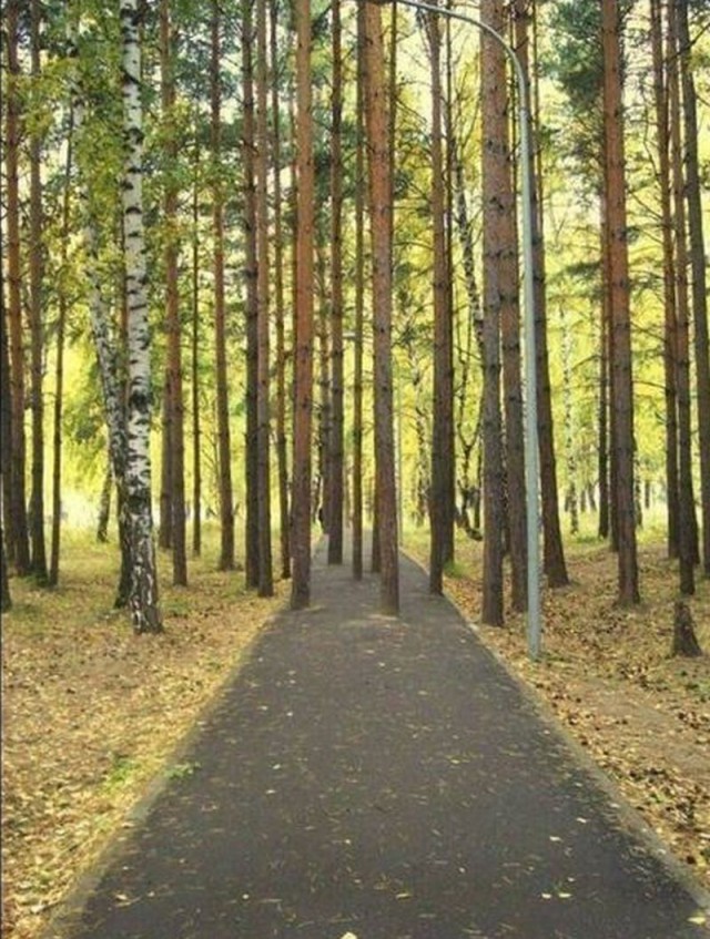 Картинки по-приколу