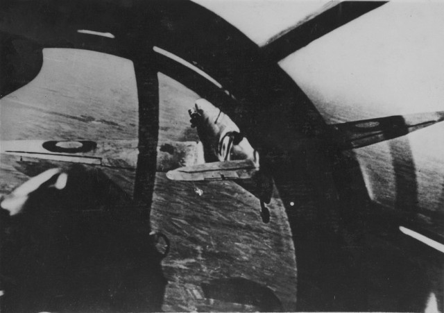 История в фотографиях