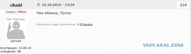 Путин сообщил о списании Россией долгов африканских стран на $20 млрд