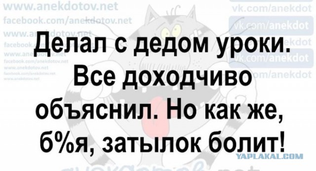 Картинки с надписями, истории и анекдоты 24.11.19