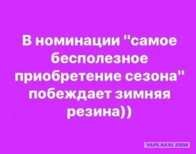 Бредзона 06.02.2020